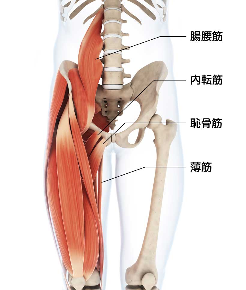 鼠径部痛症候群